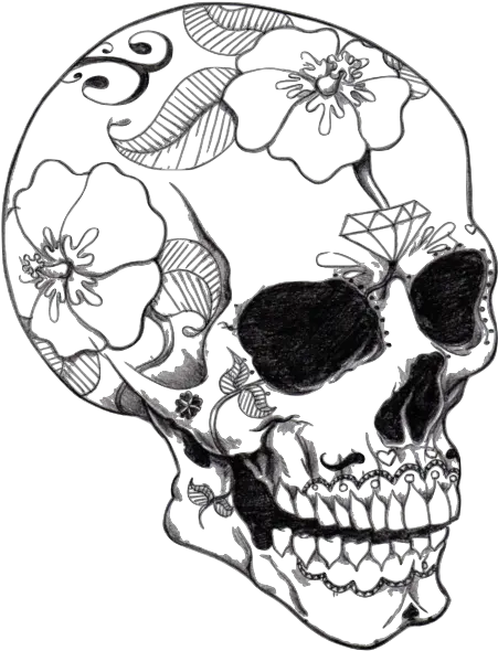 Realistic Sugar Skull Drawing Free Adult Coloring Pages Png Skull Drawing Png