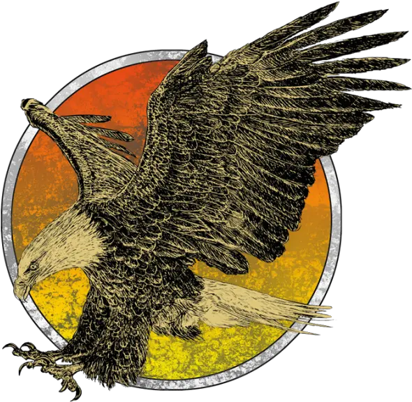Download Eagle Flying Eagle Png Image With No Background Flight Eagle Drawing Eagle Flying Png
