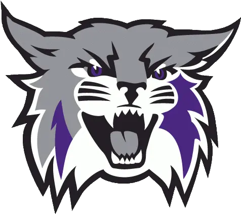 Free Kentucky Wildcats Logo Png Download Weber State Wildcats Logo Wildcat Icon
