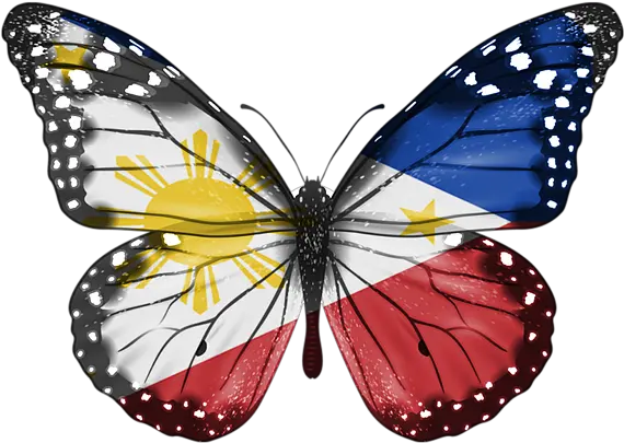 Philippines Throw Pillow For Sale Desenho De Uma Borboleta Realista Png Filipino Flag Png