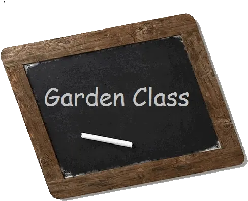 Download Garden Class Blackboard First Class Teacher Genius R Us Png Chalkboard Png