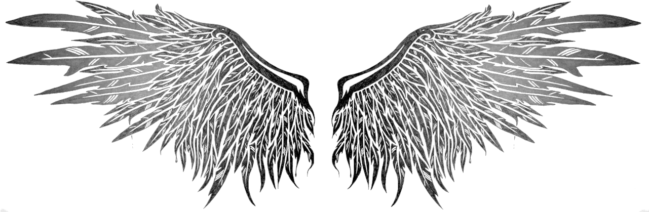 Chibi Angel Wings Png
